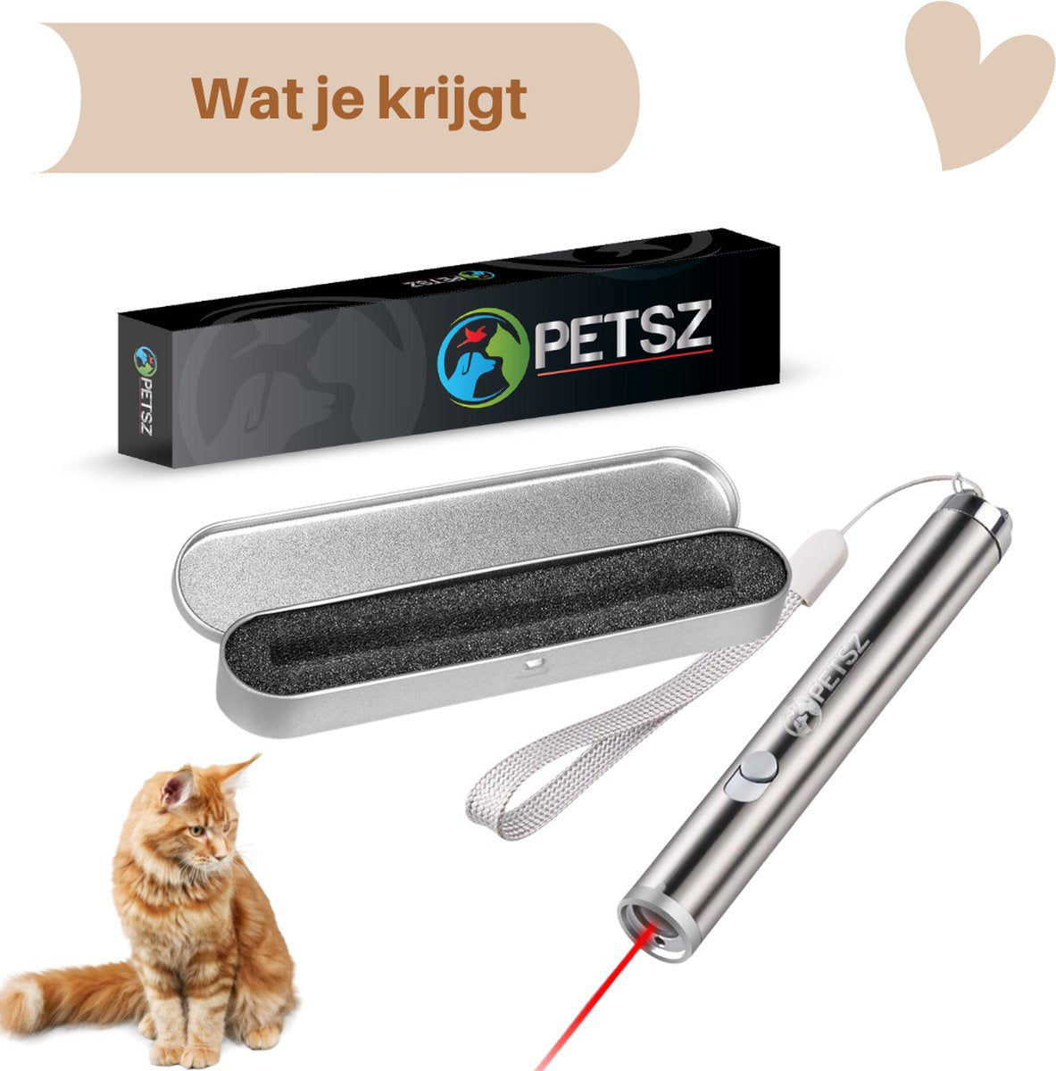 Laserpen - Kattenspeeltjes - Zaklamp - Kat - Laser - Kattenspeelgoed - RVS Opbergblikje