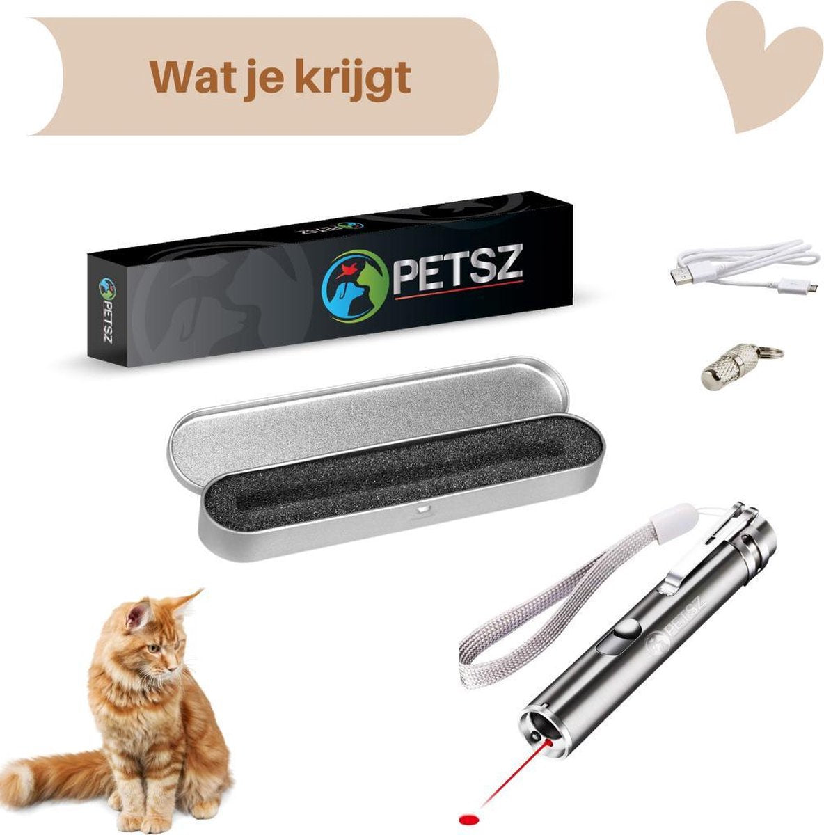 Laserpen - USB - Kattenspeeltjes - Zaklamp - Kat - Laser - Kattenspeelgoed - RVS Opbergblikje