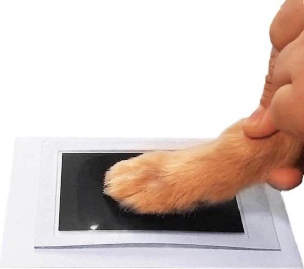 Merkloos Telano® Pootafdruk Hond Of Kat - Afdruk Huisdier Poes Maken - Zwart