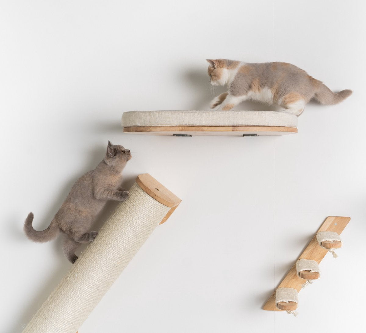 RHRQuality Wandmeubel Wandmontage Klimmuur Kat 53 X 43cm Luxe Kattenbed Creme Wand Muur Krabpaal Katten Muurbevestiging