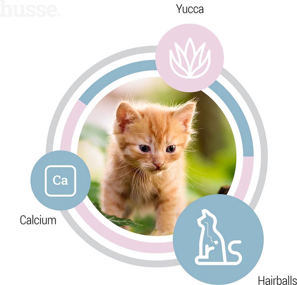 Husse Kattunge Kitten - 2 Kg - Kittenvoer - Kattenvoer - Kittenbrokjes