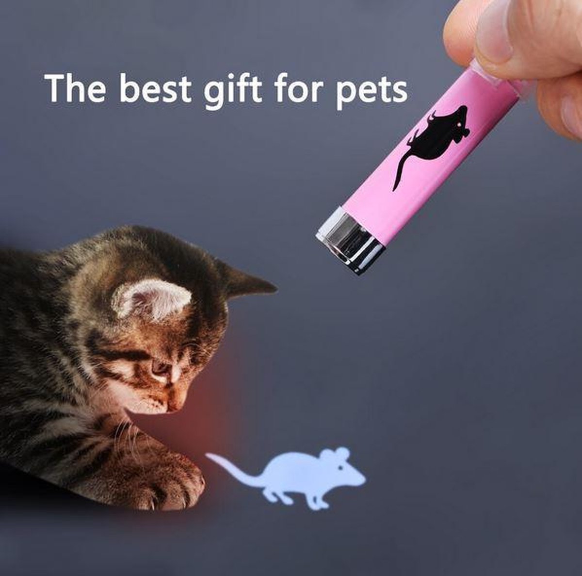 Katten Speelgoed LED Laser Lampje Muis