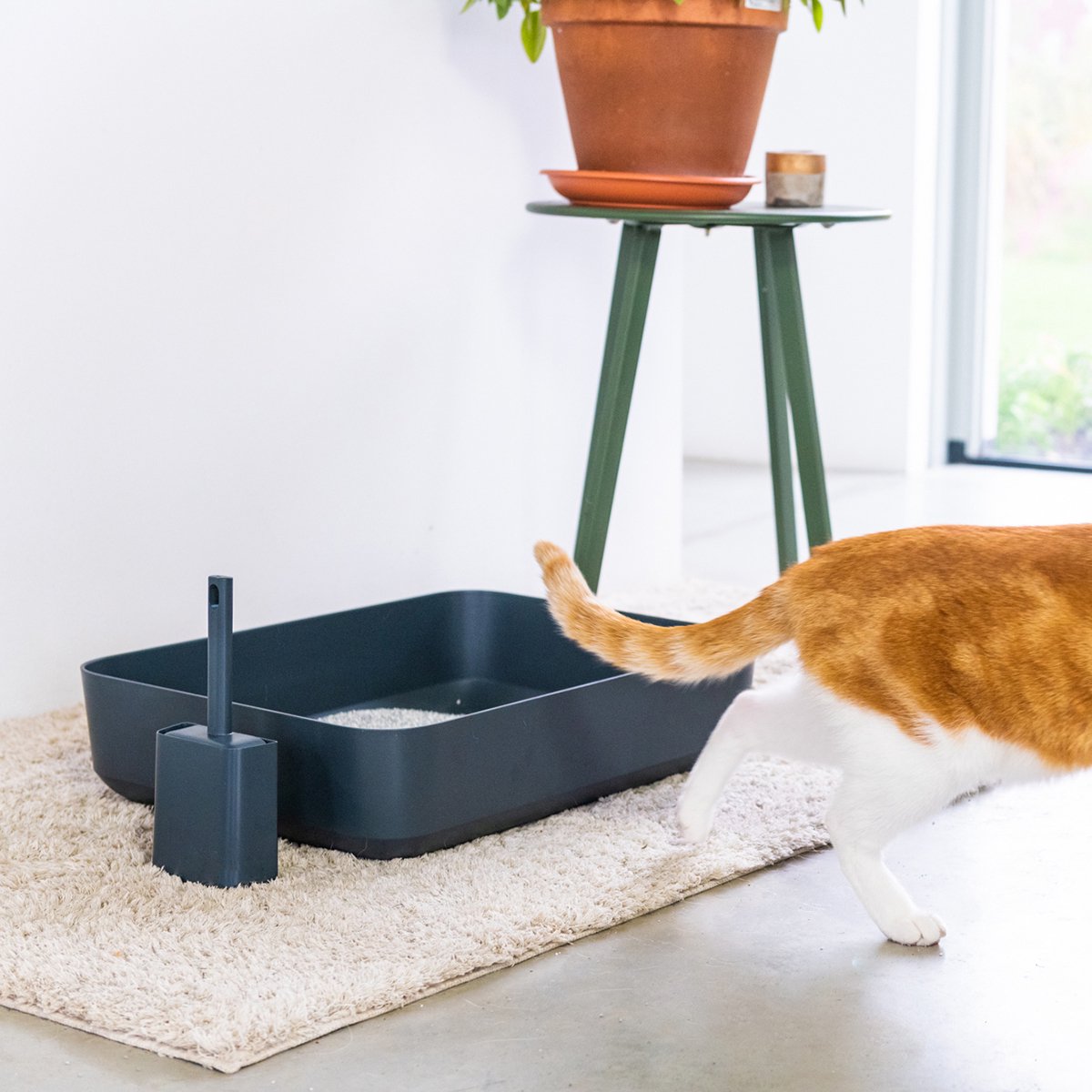 Hoopo® Poh Kattenbak Grijs - Open Kattenbak - Design Kattenbak - Kattenbakschep - 50x37.5x12.7 Cm - Grote Kattenbak