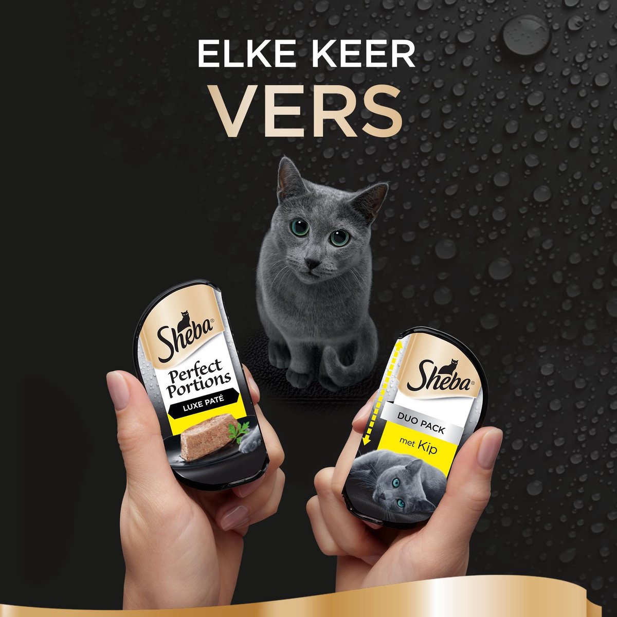 Sheba Perfect Portions Paté Katten Natvoer - Kip - 48 Stuks