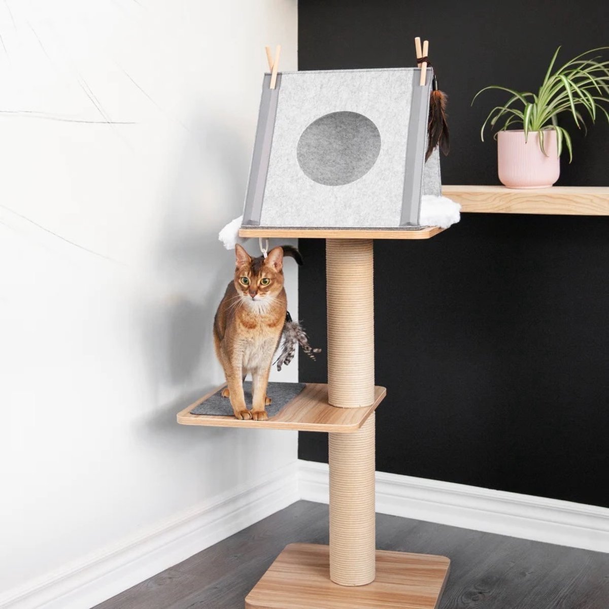 BeOneBreed Katt3 EVO Classic Natural – Krabpaal Voor Katten – Inclusief Memory Foam Kussen, Vilten Mat En Hangspeeltje – Gelamineerd Hout - Afmetingen 42,5 X 37,5 X 76 Cm