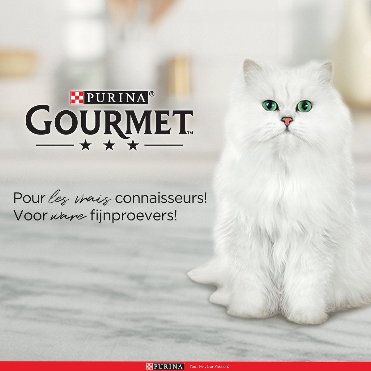 Purina One Purina Gourmet Perle - Mini Filets In Saus - Kalkoen Eend Tonijn & Lam - 40x85g