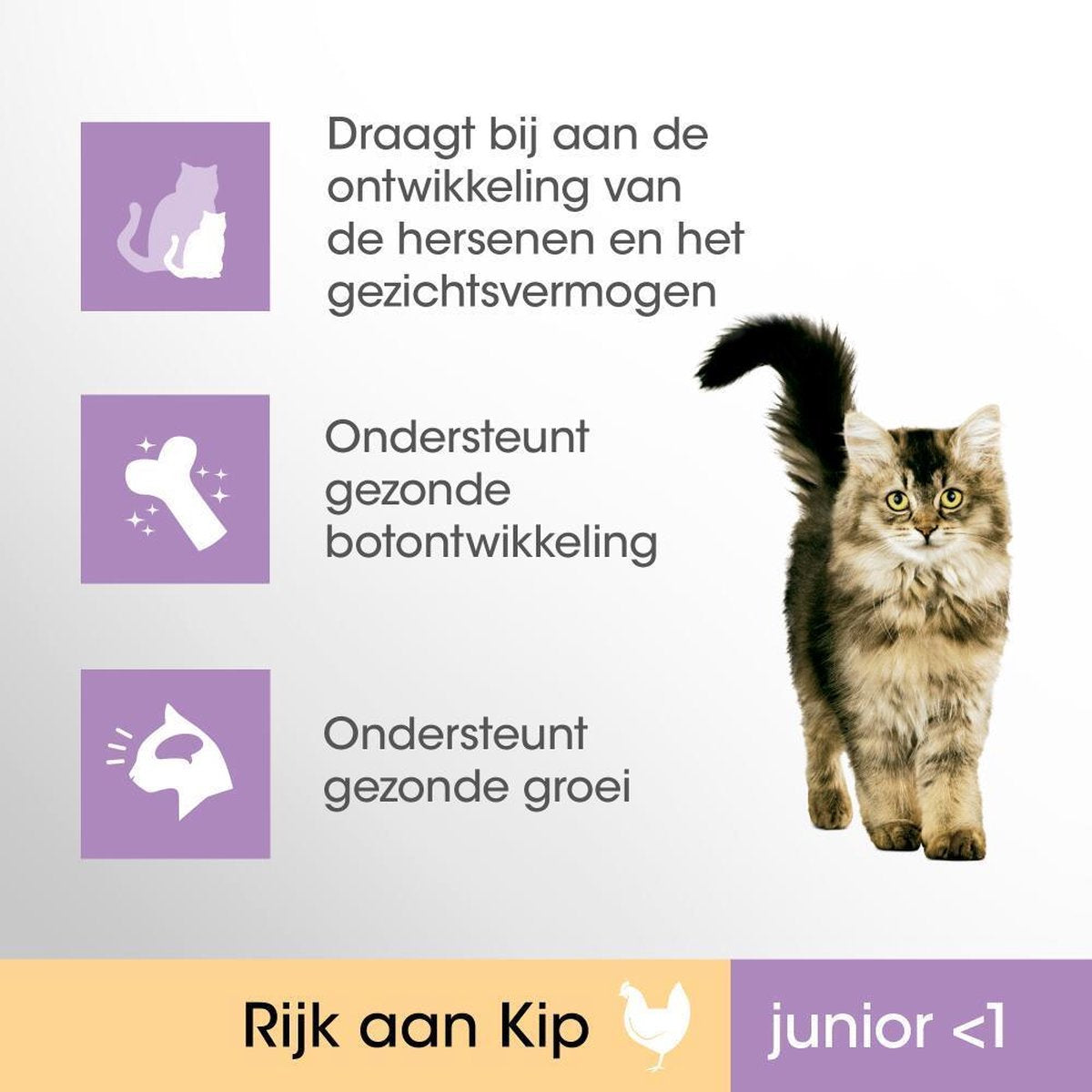 Perfect Fit Junior Katten Droogvoer - Kip - 4 X 750 Gr