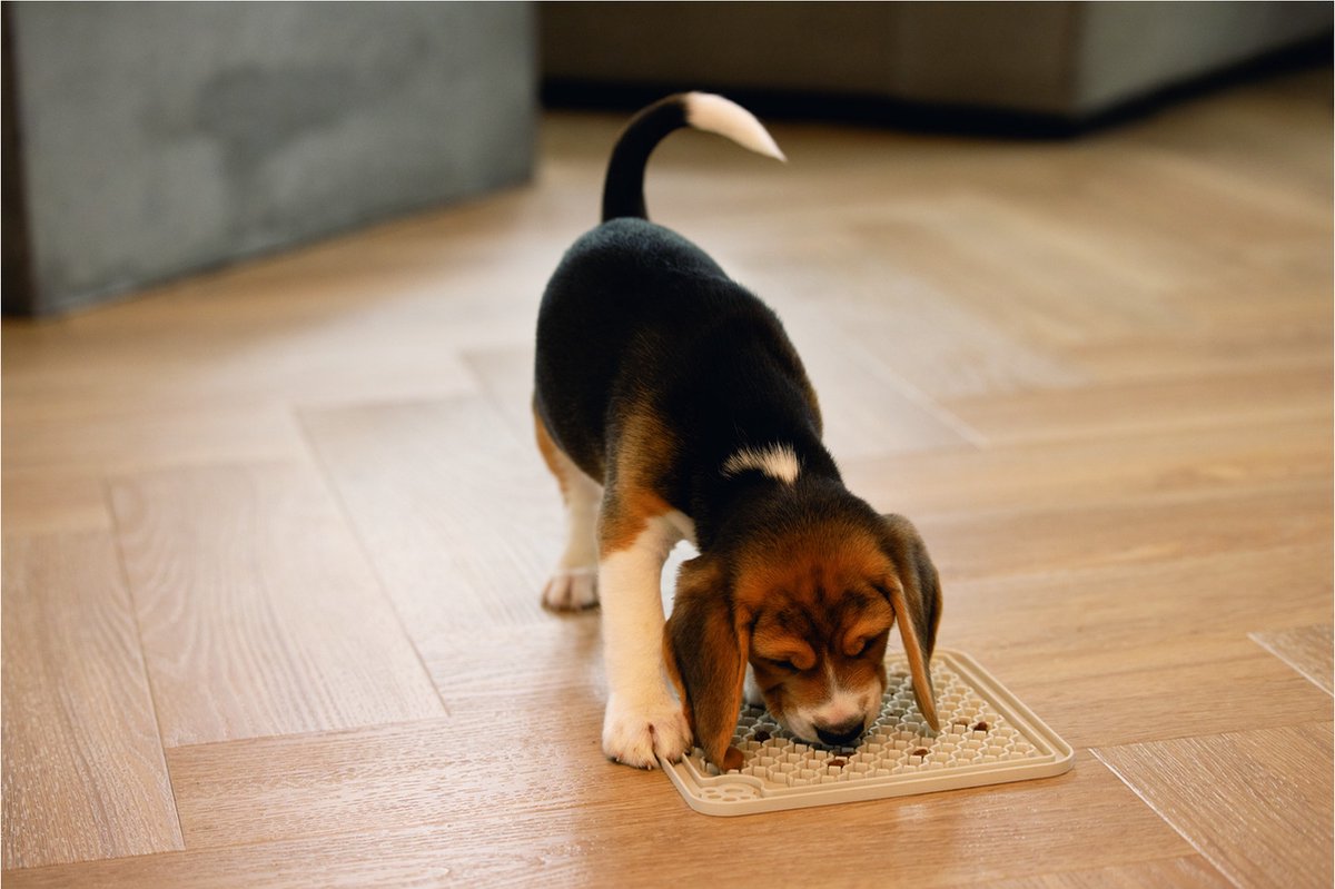 Beeztees Puppy Likmat Diza - Hondenspeelgoed - Rubber - Grijs - 20x20 Cm