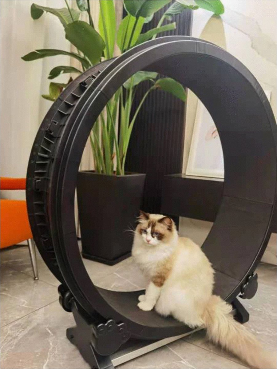 Merkloos Petlux - Looprad / Loopwiel Voor Kat - Kattenspeelgoed -