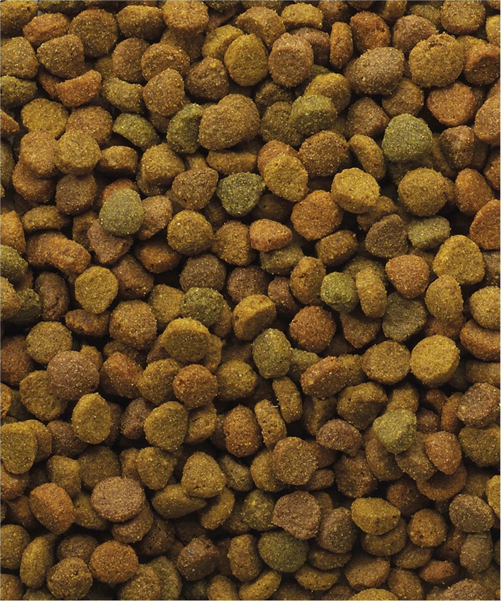 VERSELE-LAGA Versele Laga Classic Variety - Kattenvoer -10 Kg