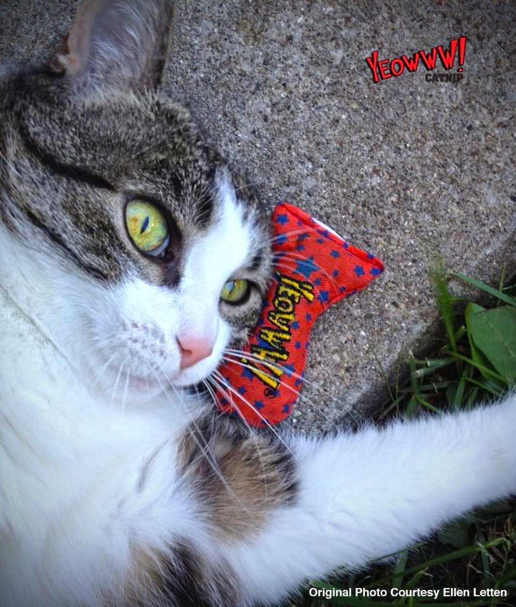  Yeowww! Stinkies Sardientje - Rood Met Sterren - 7.5 Cm - Catnip Kattenkruid ( Kattenspeeltjes )