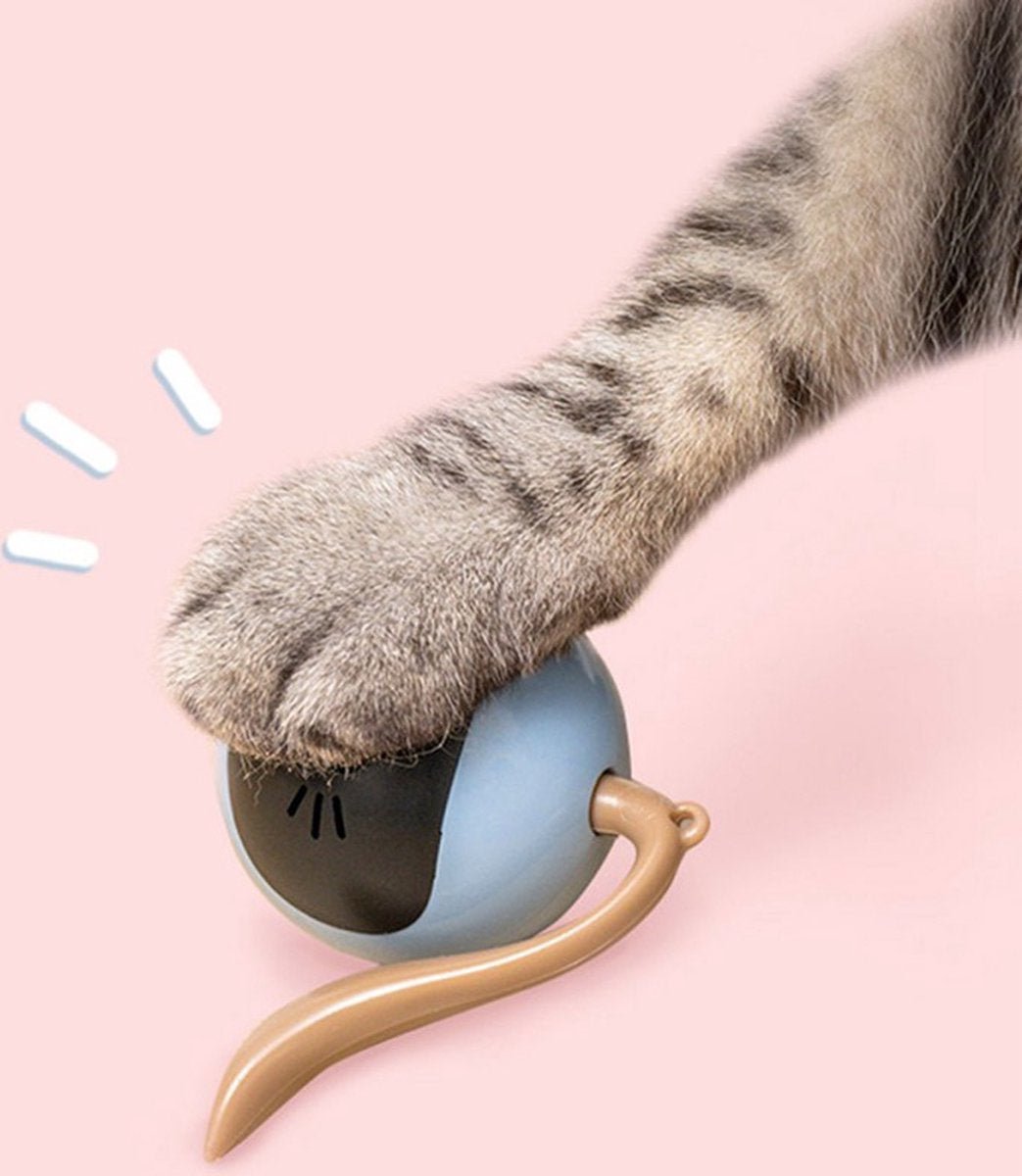  Otiume Slimme Katten Speeltje - Interactieve Zelf Rollende Bal Voor Katten - Kattenspeeltjes -Speelgoed Voor Dieren - USB Oplaadbaar