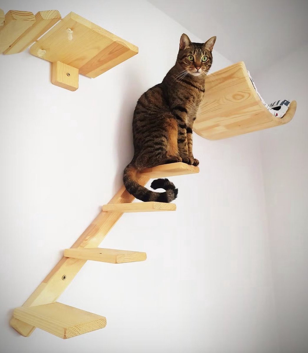  Kattentrap Hout - Linksonder Naar Rechtsboven - Handgemaakte Kattenladder - Katten Klimmuur Klimwand