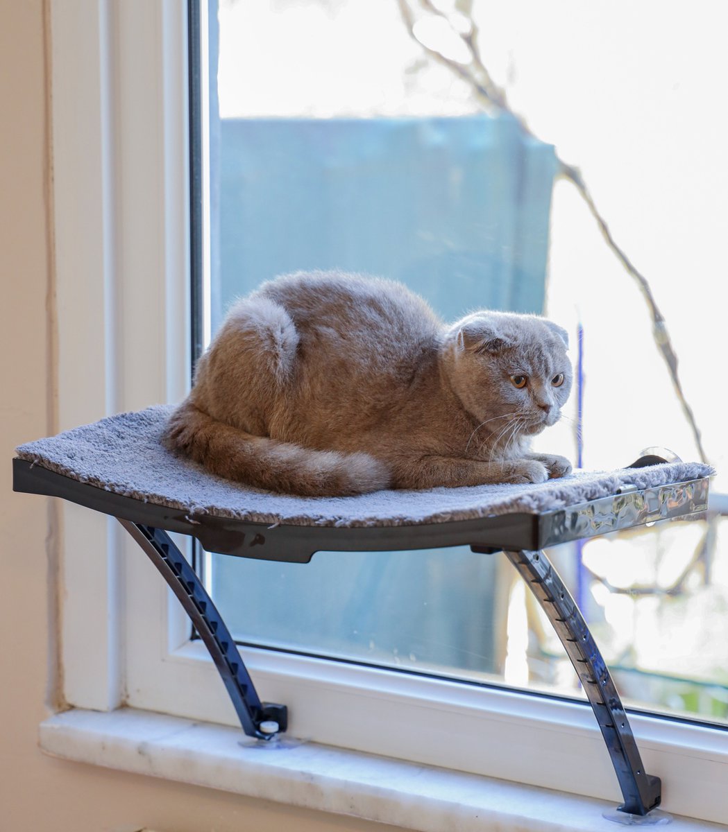  Hobipets - Kattenmand Raam - 5 Zuignappen - Hangmat Kat Raam