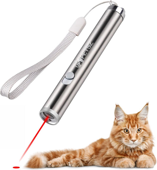  Laserpen - Kattenspeeltjes - Zaklamp - Kat - Laser - Kattenspeelgoed - RVS Opbergblikje
