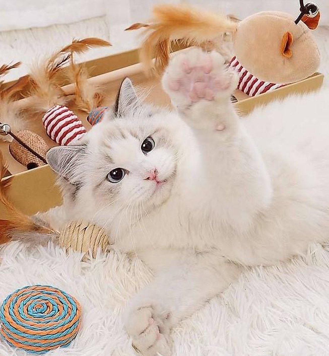  GIZMO Luxe Kattenspeeltjes Set - 7 Speeltjes - Interactieve Kattenhengel, Kattenspeelgoed &amp; Speelmuisjes - Kitten Speeltjes