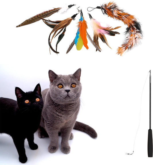  Make Me Purr Kattenhengel Met 5 Hangers (Zwart) - Speelgoed Hengel Voor Katten - Kat Speelhengel Met Veren - Kitten Kattenplager Met Veer - Kattenspeelgoed - Kattenspeeltjes