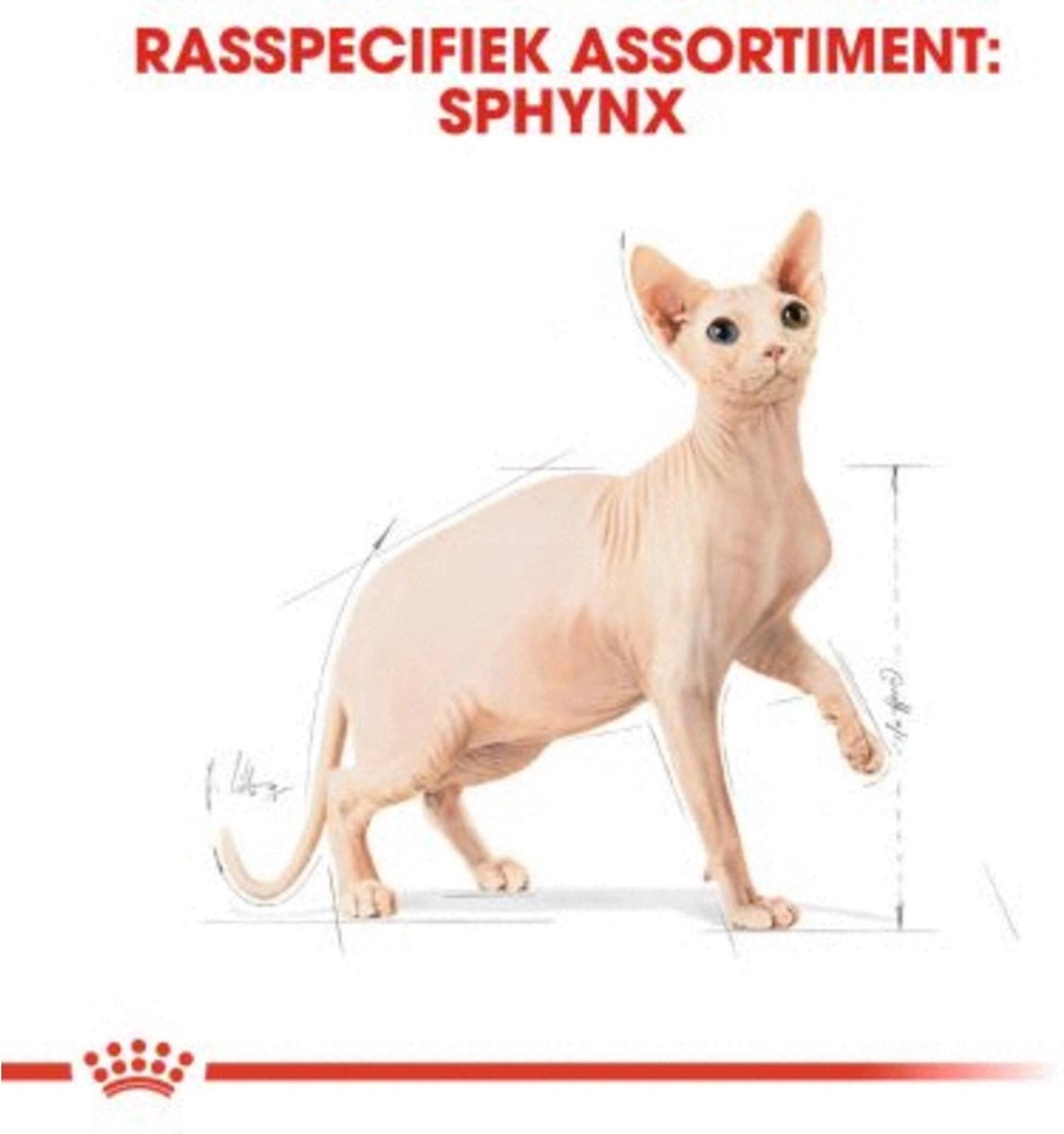  Royal Canin Sphynx Adult - Kattenvoer - 10 Kg