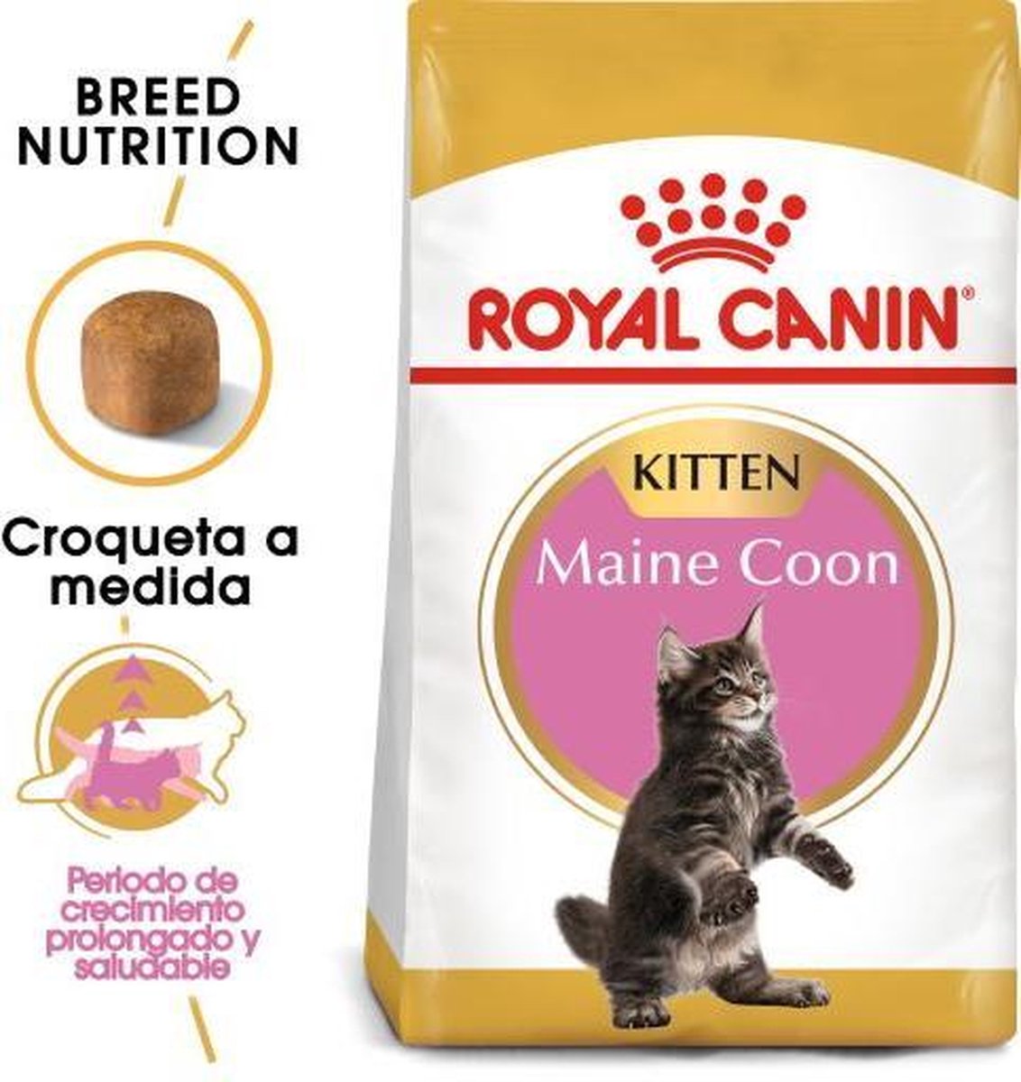  Royal Canin Maine Coon Kitten - Kattenvoer - 4 Kg