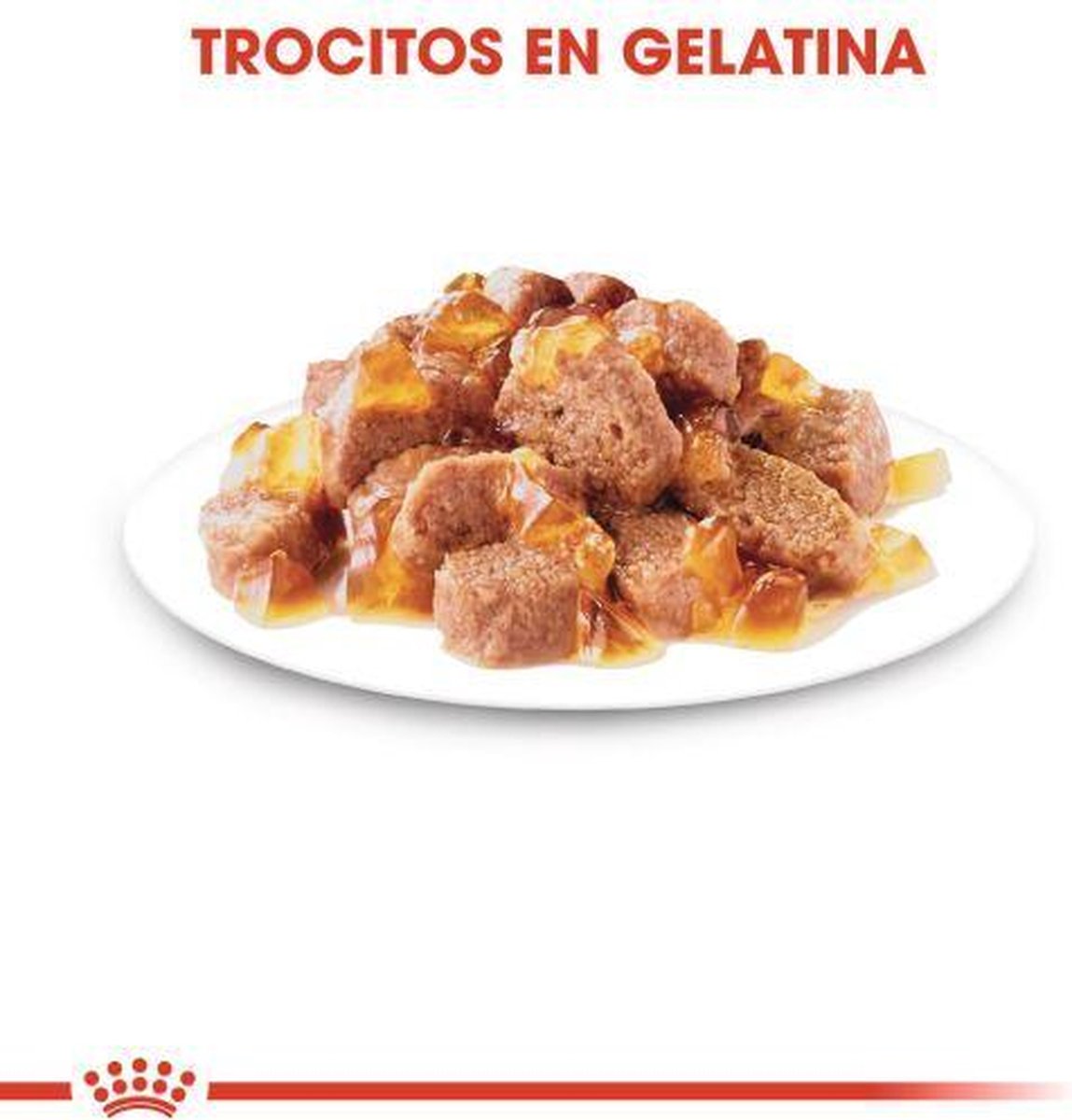  Royal Canin Sterilised In Jelly - Kattenvoer - 1020 G