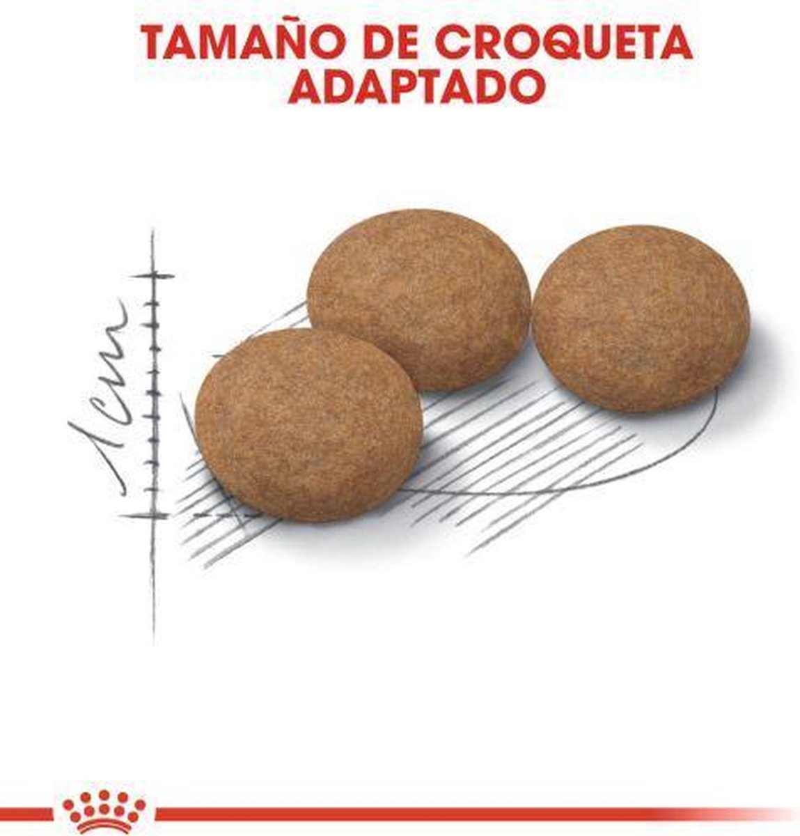  Royal Canin Ageing Sterilised 12+ - Kattenvoer - 2 Kg