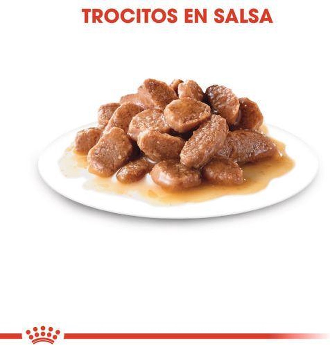  Royal Canin Wet Ageing 12+ (12X85 GR)