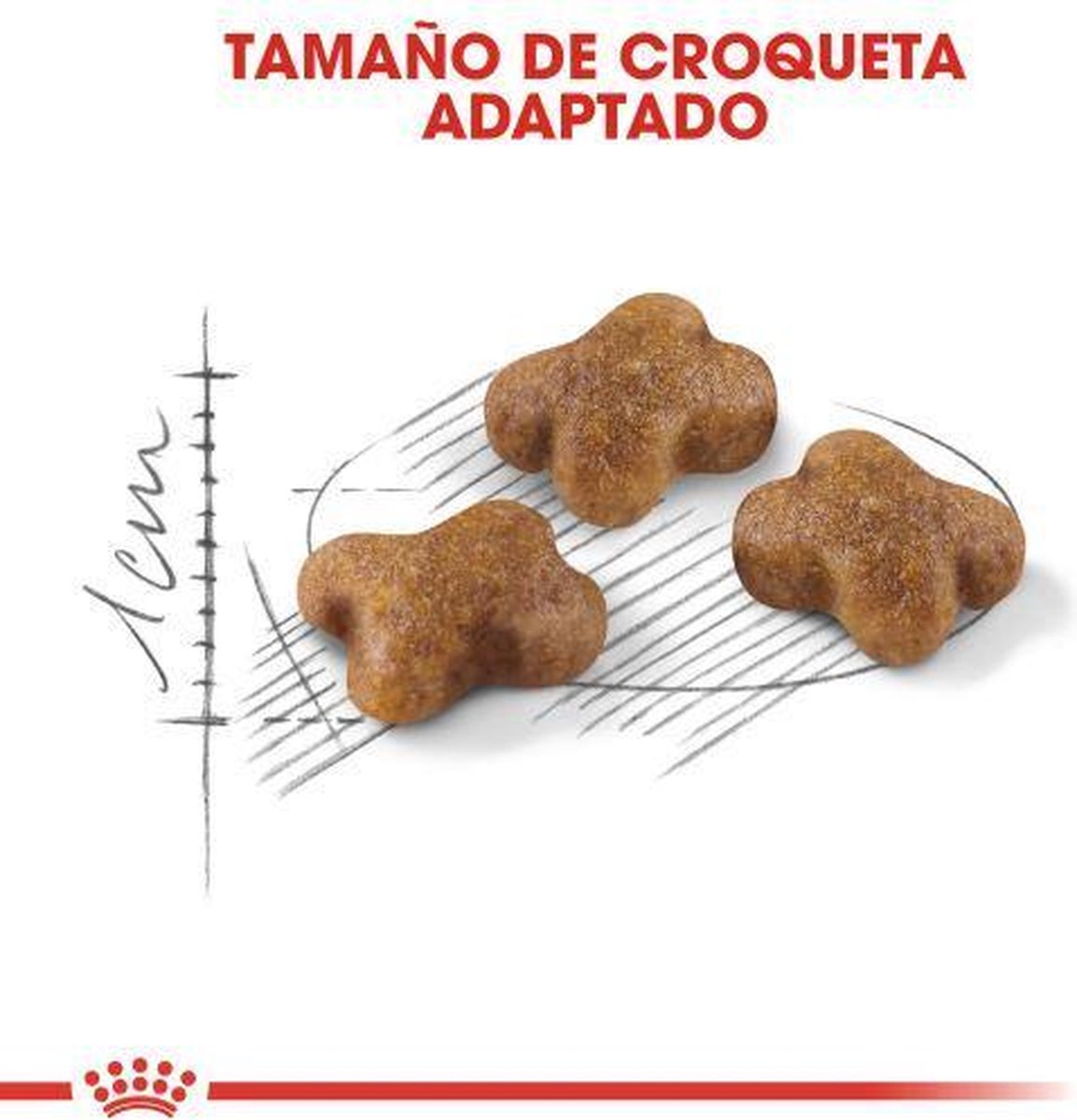  Royal Canin Kitten - Kittenvoer - 4 Kg