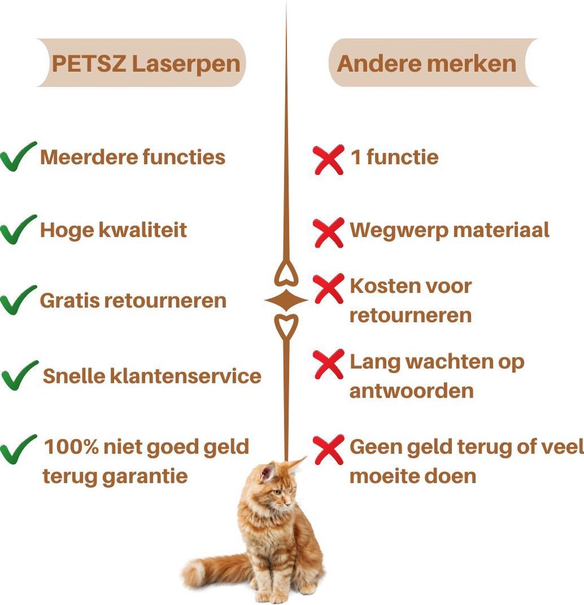  Laserpen - Kattenspeeltjes - Zaklamp - Kat - Laser - Kattenspeelgoed - RVS Opbergblikje