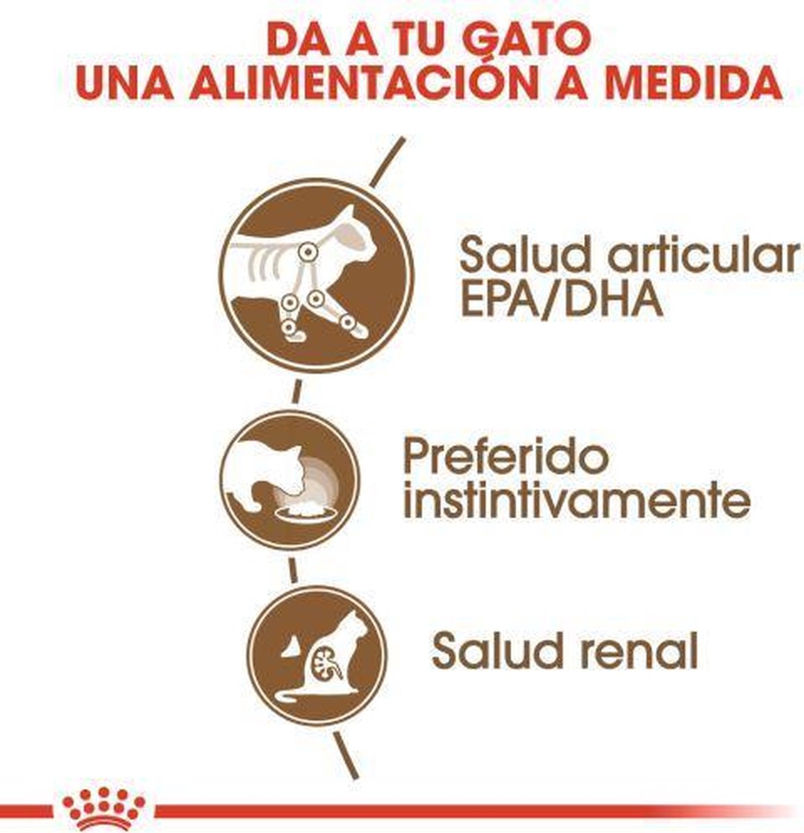  Royal Canin Wet Ageing 12+ (12X85 GR)