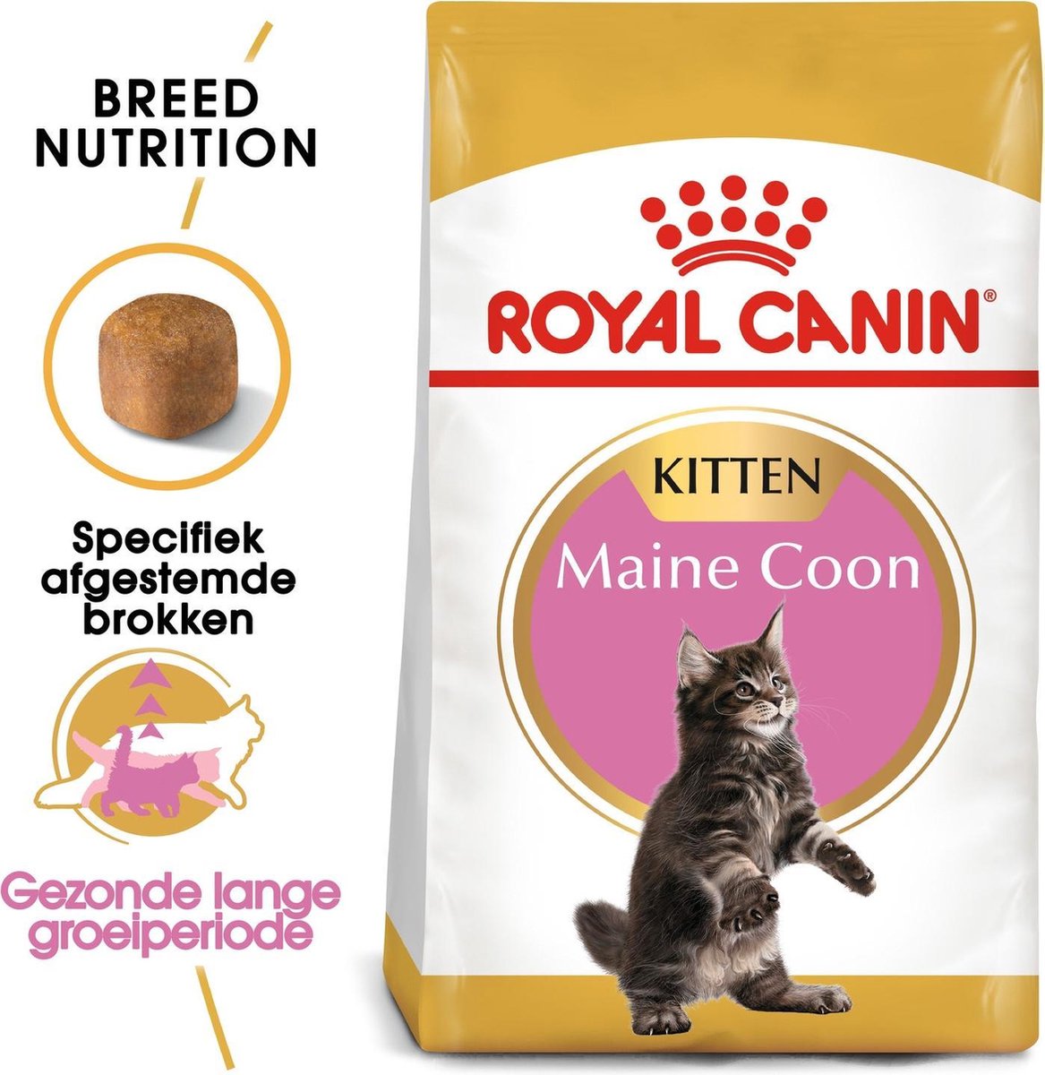  Royal Canin Maine Coon Kitten - Kattenvoer - 4 Kg