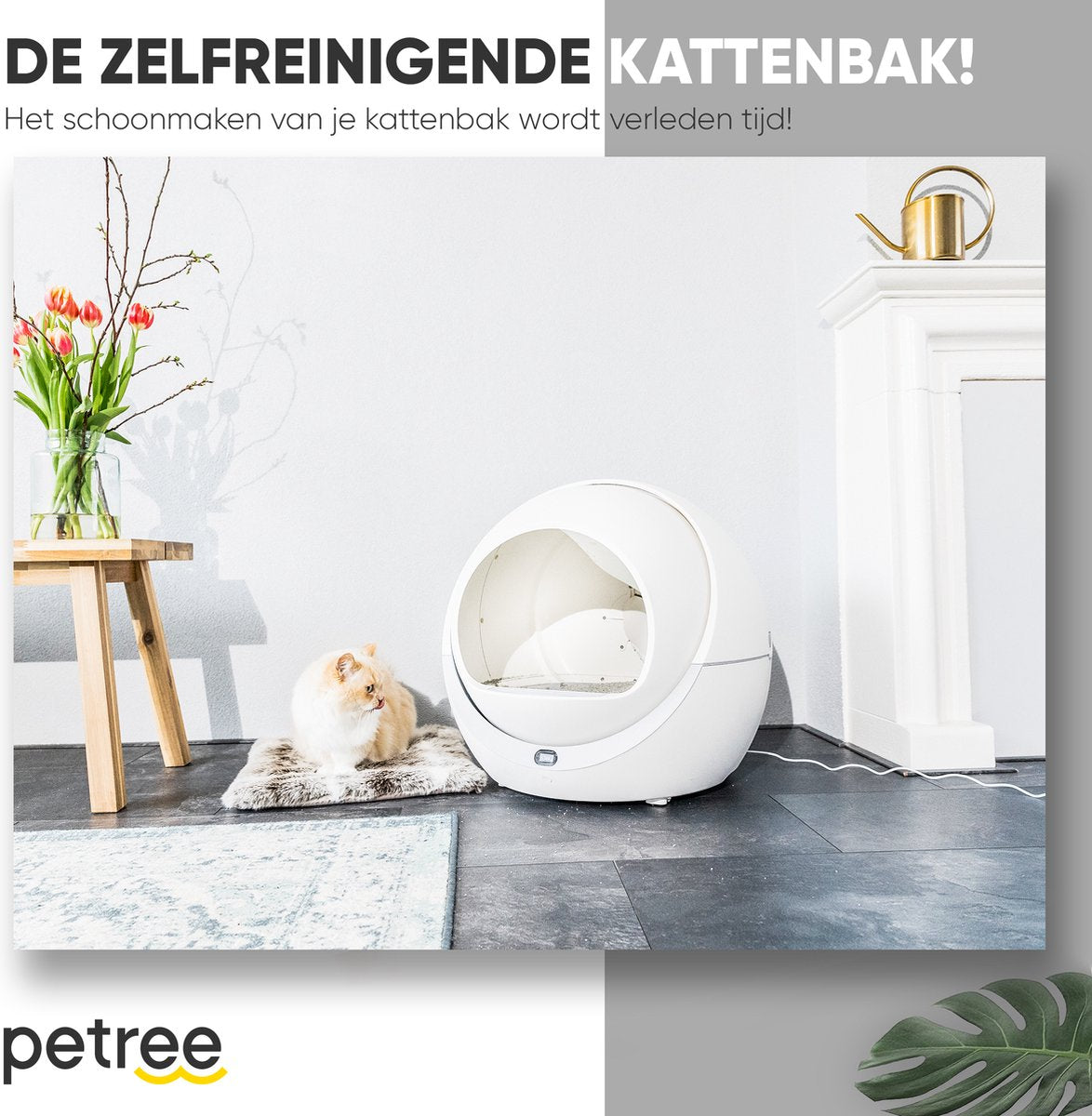  Petree Dome- Zelfreinigende Kattenbak - Automatisch - Katten - Anti-geur - 60 X 35 X 60 Cm