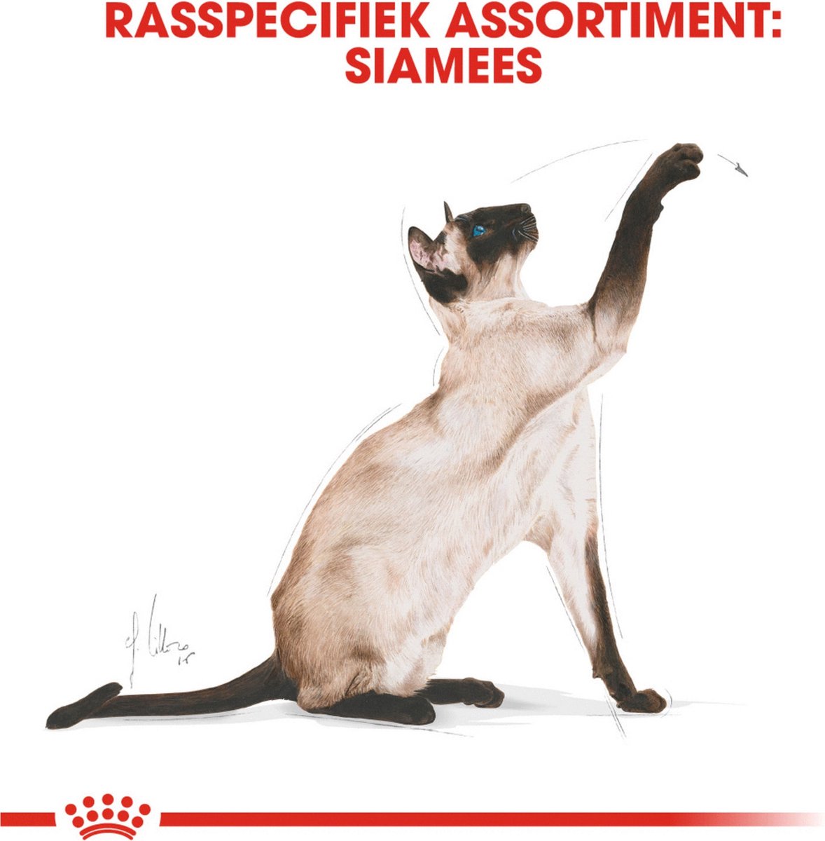  Royal Canin Siamese Adult - Kattenvoer - 4 Kg