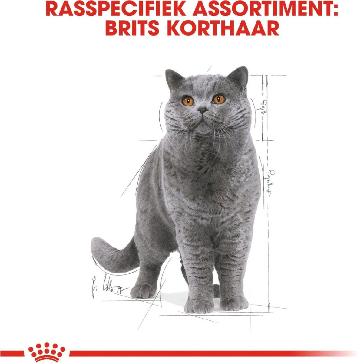  Royal Canin Fbn British Shorthair Adult Pouch - Kattenvoer - 12x85 G