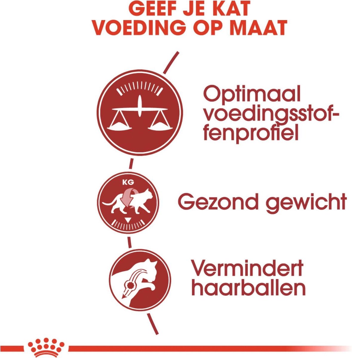 Royal Canin Fit 32 - Kattenvoer - 10 Kg