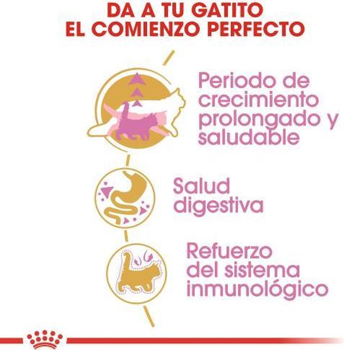  Royal Canin Maine Coon Kitten - Kattenvoer - 4 Kg
