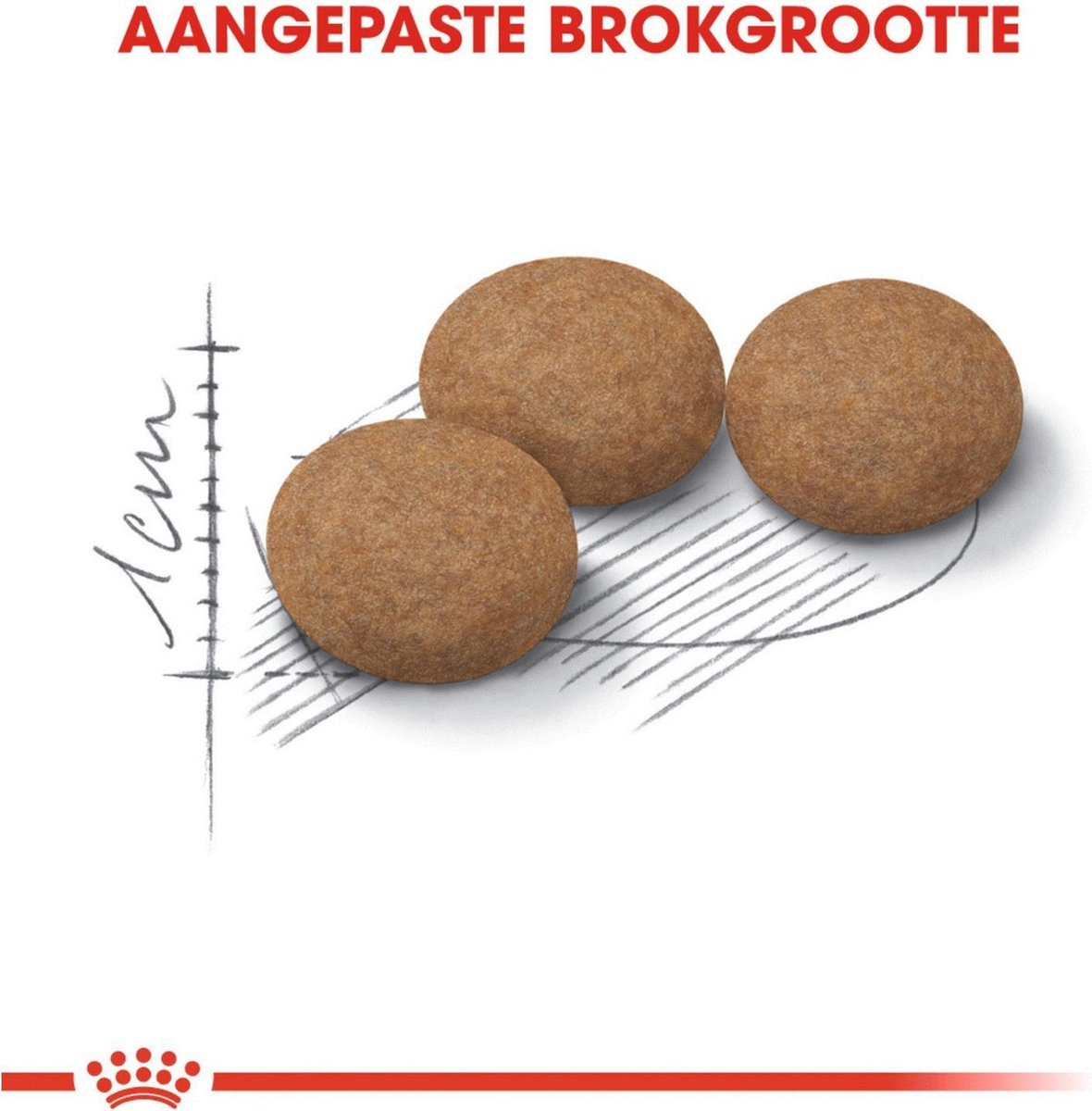  Royal Canin Ageing Sterilised 12+ - Kattenvoer - 2 Kg