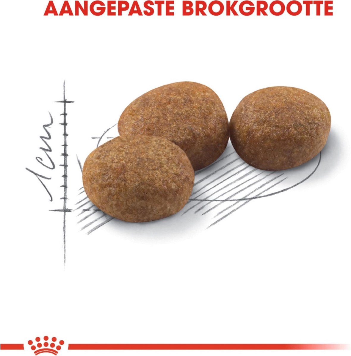  Royal Canin Sterilised 37 - Kattenvoer - 10 Kg