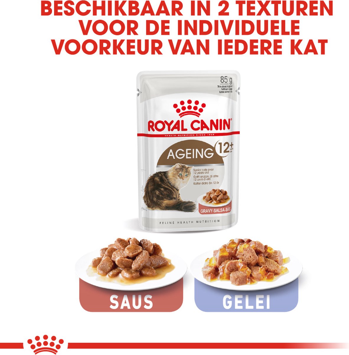  Royal Canin Wet Ageing 12+ (12X85 GR)