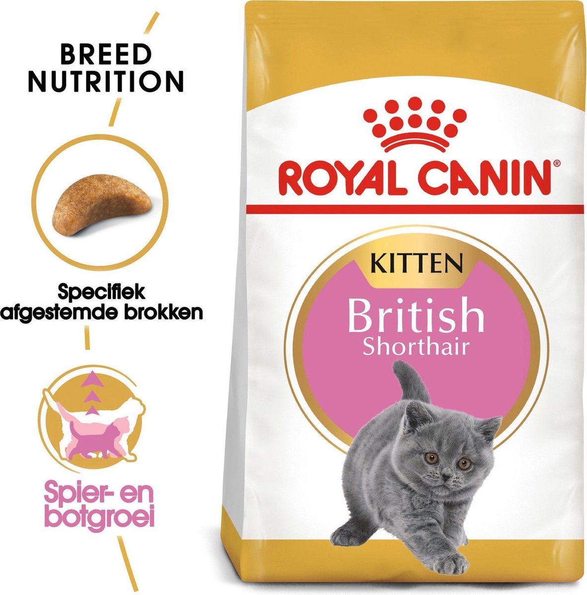  Royal Canin British Shorthair Kitten - 2 Kg