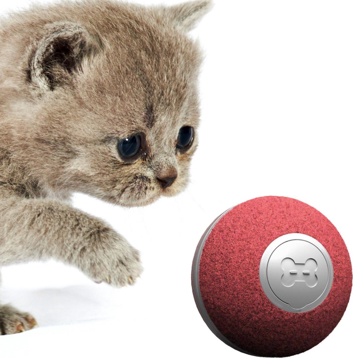  Cheerble Mini Ball 2.0 - Slimme Interactieve Zelf Rollende Bal Voor Katten - 3 Speelmodi - Kattenspeeltjes - USB Oplaadbaar - Rood