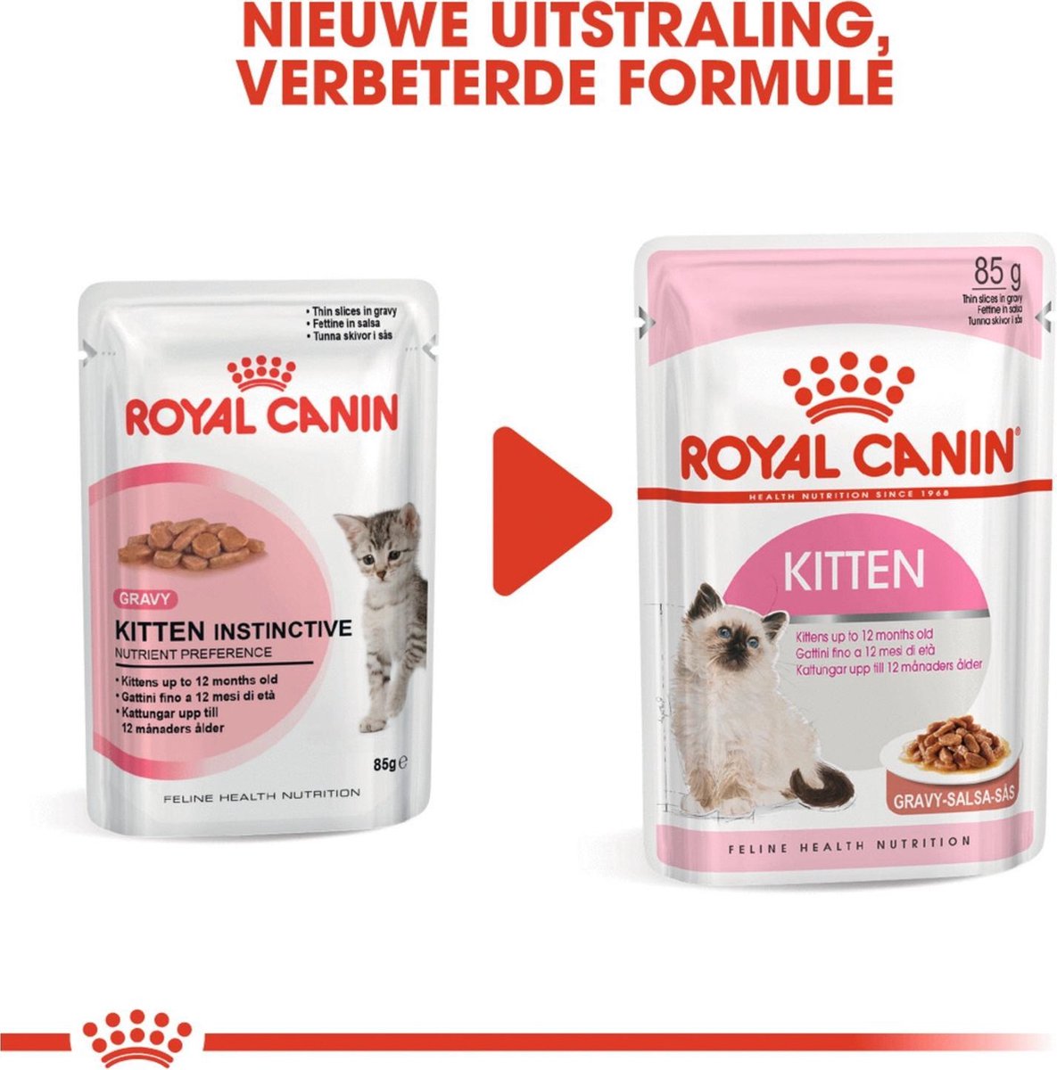  Royal Canin Wet Kitten (12X85 GR)
