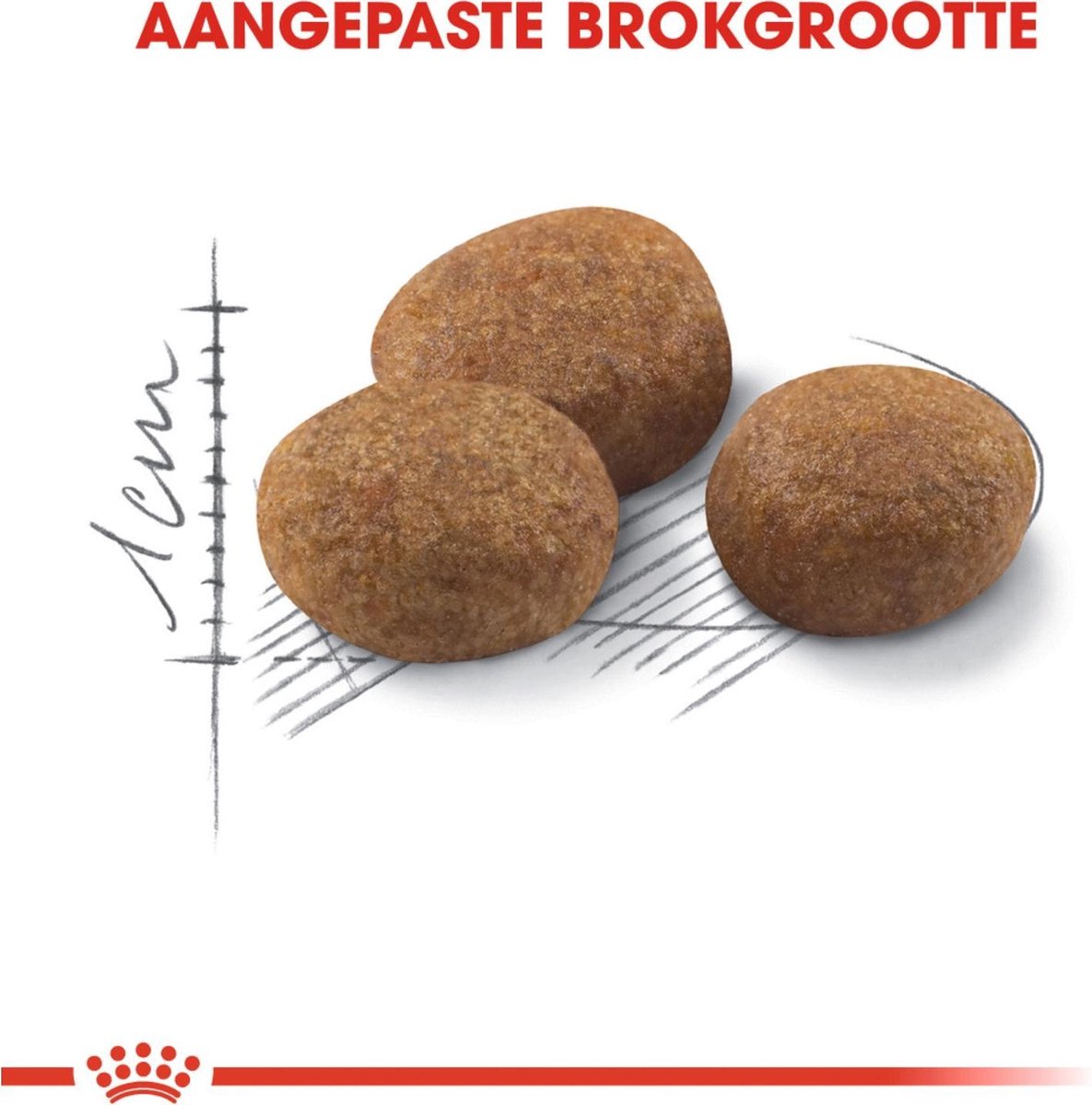  Royal Canin Sterilised 7+ - Kattenvoer - 10 Kg