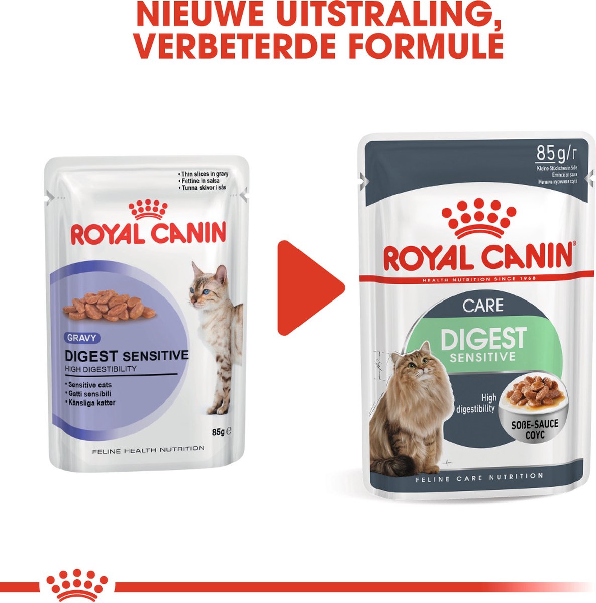  Royal Canin Wet Digest Sensitive (12X85 GR)