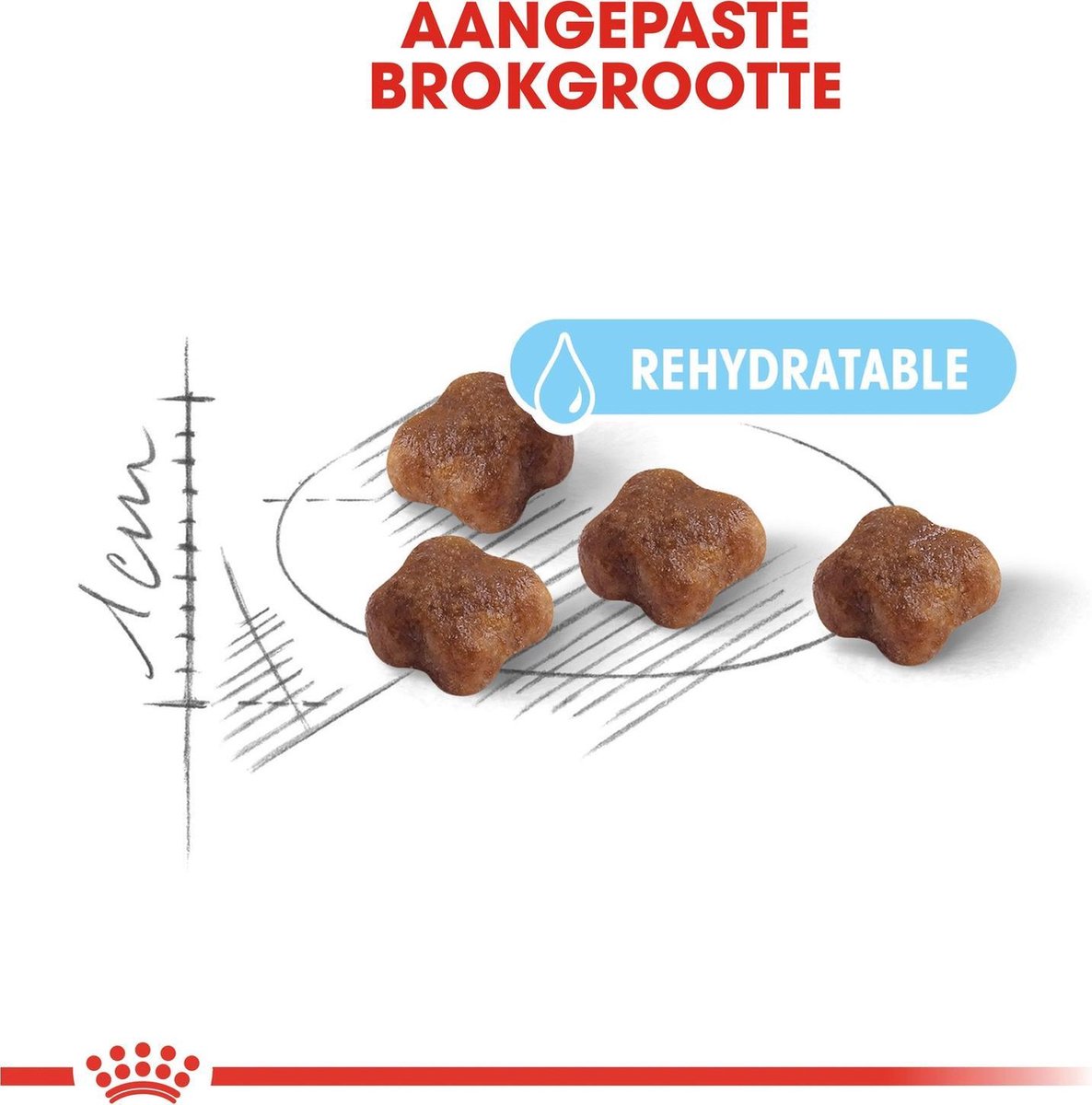  Royal Canin Mother &amp; Babycat - Kattenvoer - 4 Kg