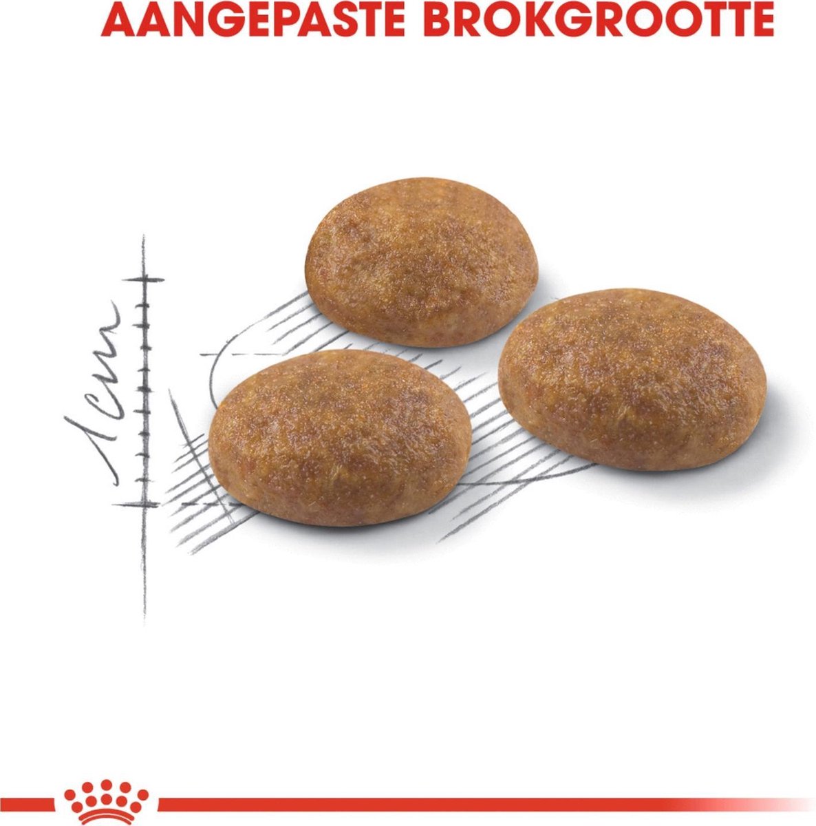  Royal Canin Outdoor - Kattenvoer - 10 Kg
