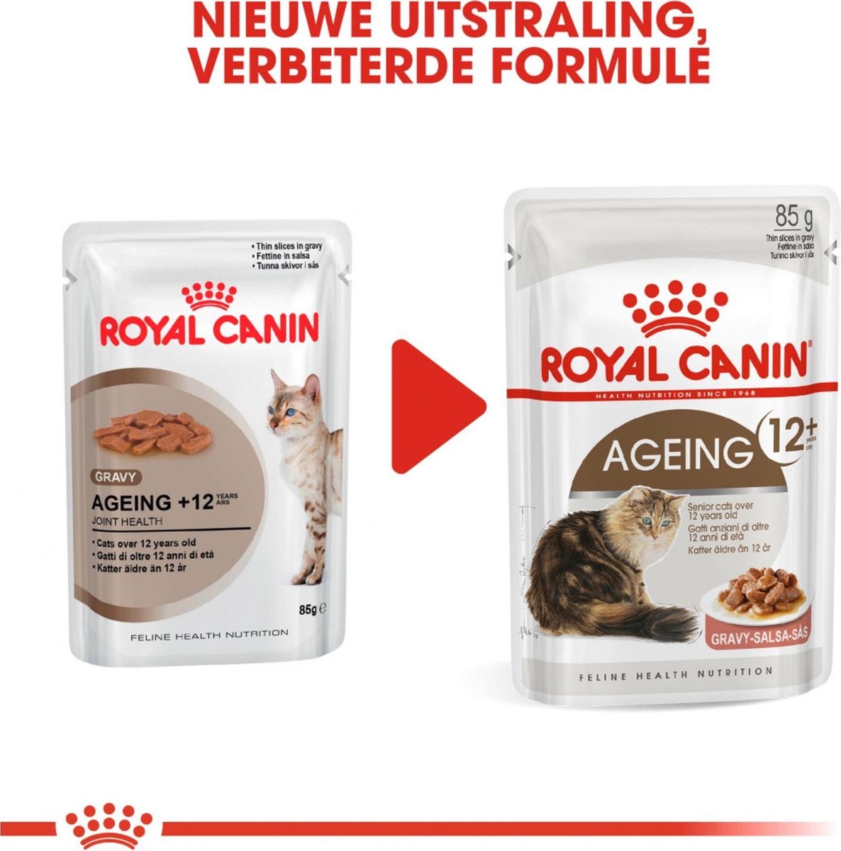  Royal Canin Wet Ageing 12+ (12X85 GR)