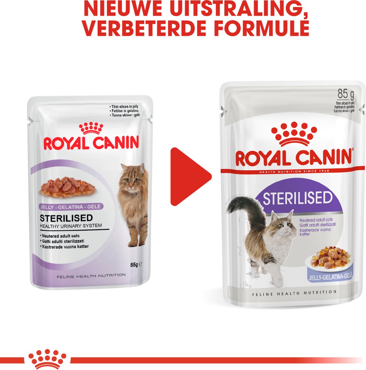 Royal Canin Sterilised In Jelly - Kattenvoer - 1020 G
