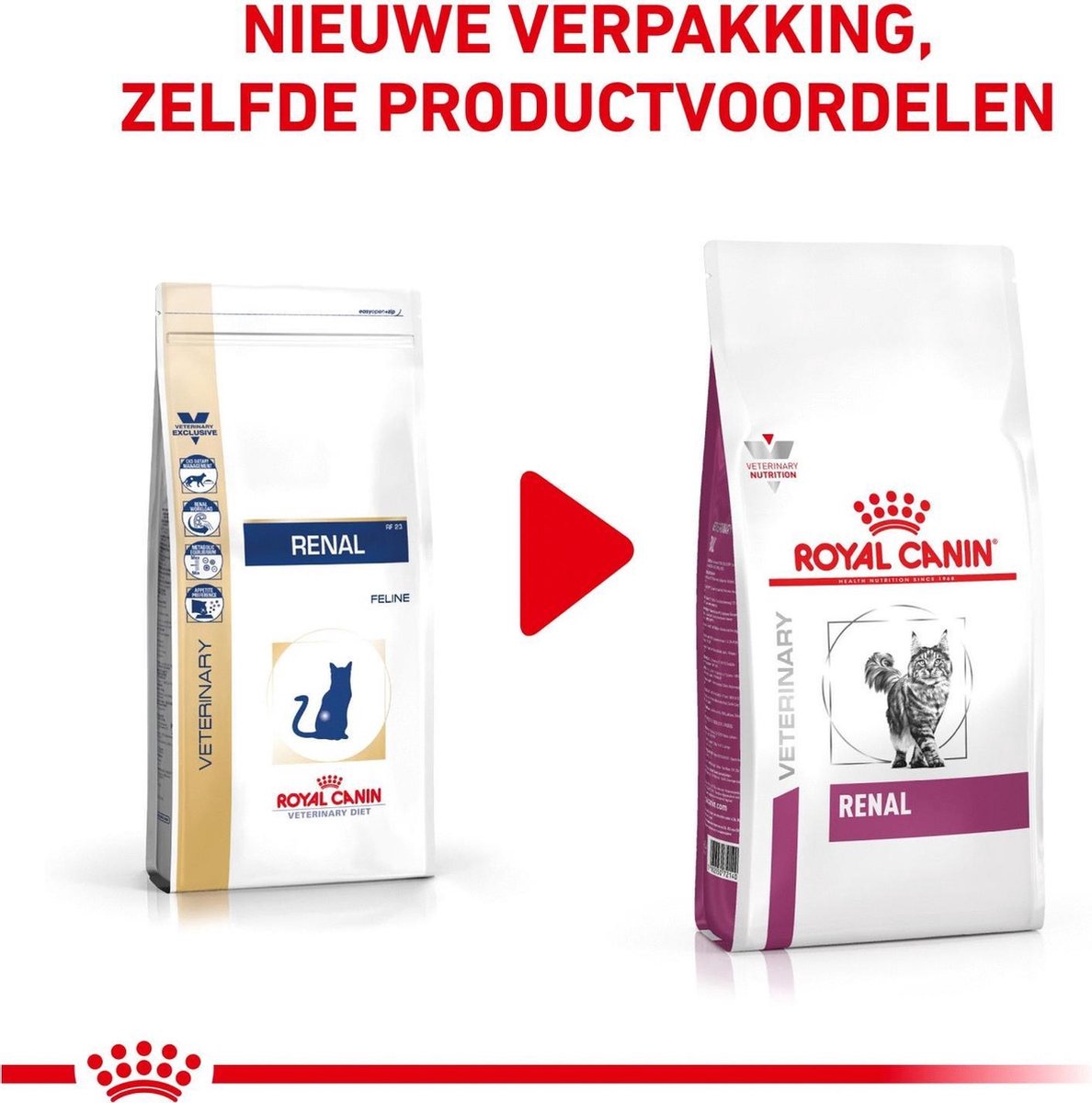  Royal Canin Renal - Kattenvoer - 4 Kg