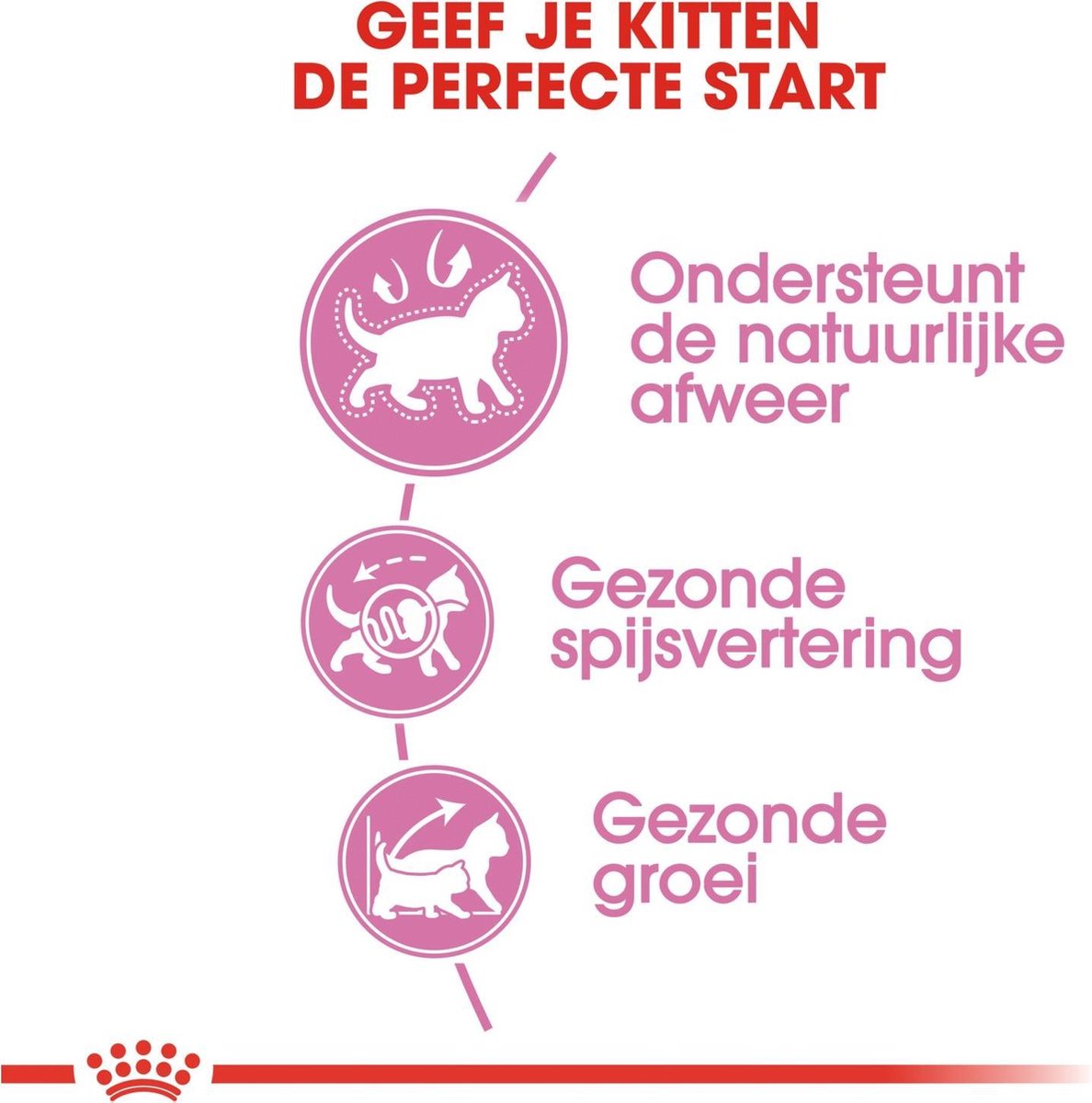  Royal Canin Kitten - Kittenvoer - 4 Kg