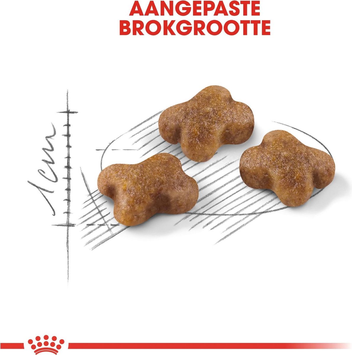  Royal Canin Kitten - Kittenvoer - 4 Kg